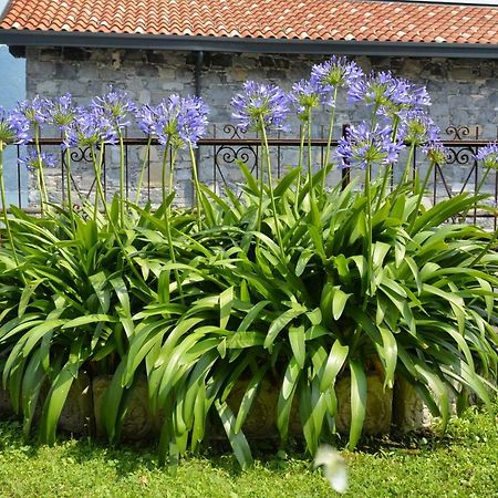 Apartmán Casa Giardino Fiorito San Siro  Exteriér fotografie